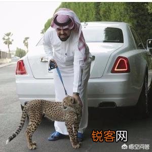 如何评价委内瑞拉前总统查伟斯？