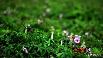 大时代的洪流下如何学会“守脑如玉”？