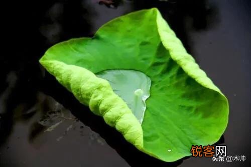 大时代的洪流下如何学会“守脑如玉”？
