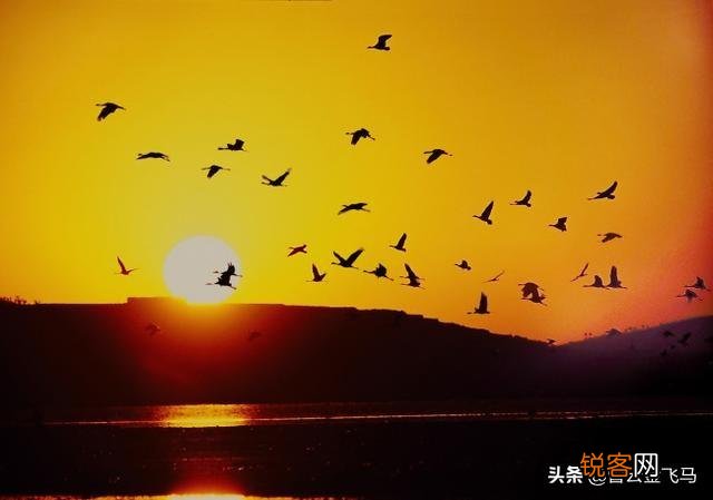 “曲高和寡”与“真理往往掌握在少数人手里”有一致性吗？