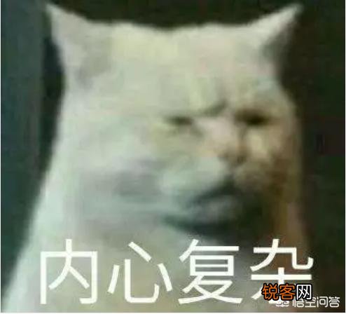 儿媳妇对儿子不好,该怎么办？