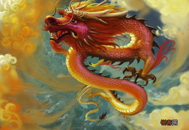 什么的飞龙