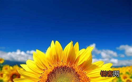 妈妈和15岁儿子关系很差怎么办？