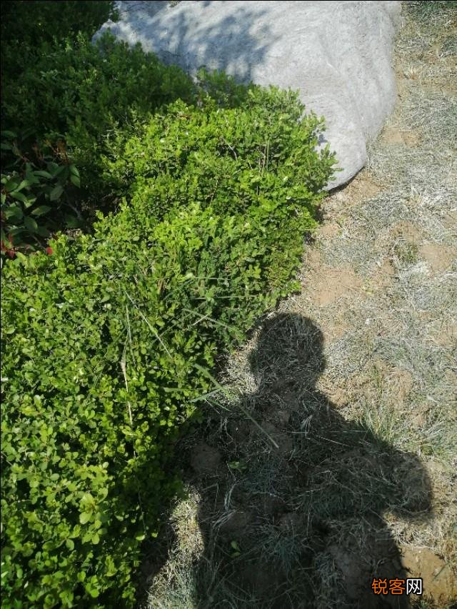 45岁以上的男人还有爱情吗？
