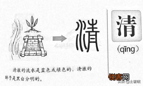 什么是右形左声和左形右声？有何依据？
