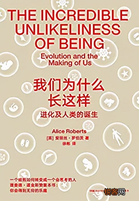 豆瓣9.2分 启发无数作家的经典神作