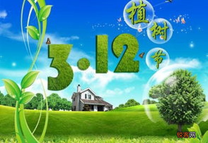 植树节我们应该做什么
