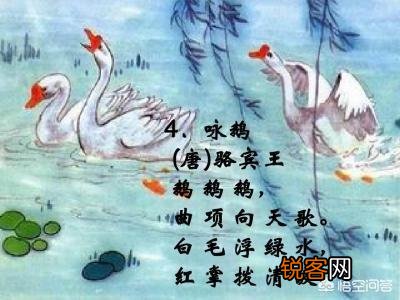鸡肝、鸭肝和鹅肝,为什么只有鹅肝成了名菜？