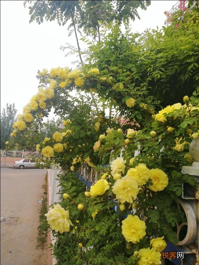 怎样才能在挫折中积极和阳光？