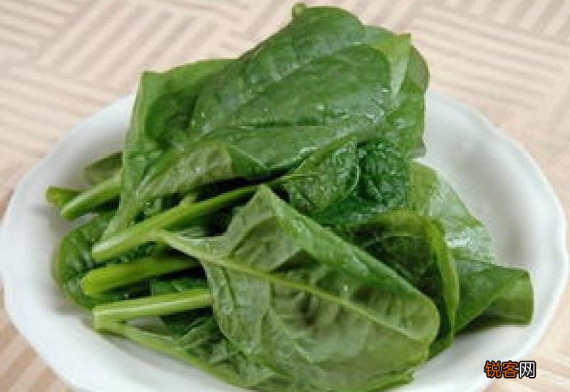 木耳菜有什么作用 木耳菜有哪些功效