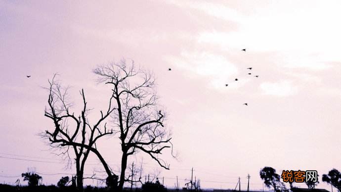 痛彻心扉的古诗词名句 心灰意冷尽在其中