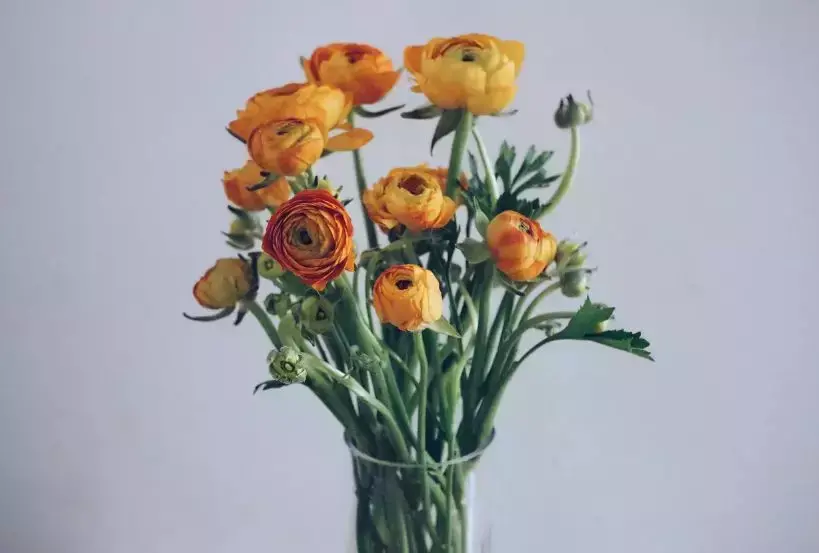 各种鲜花的花语与寓意 不同的颜色寓意也不一样