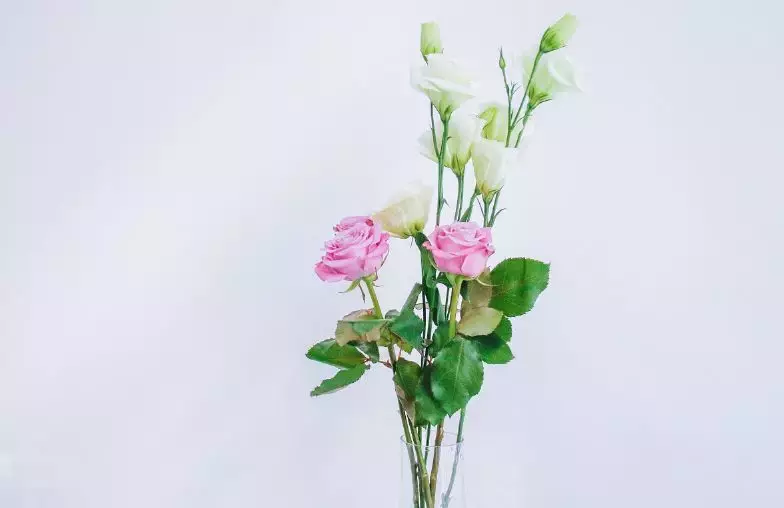 各种鲜花的花语与寓意 不同的颜色寓意也不一样