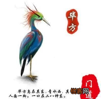 中国九大神鸟分别是什么 中国历史上的神鸟