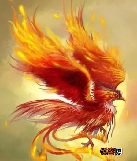 中国九大神鸟分别是什么 中国历史上的神鸟