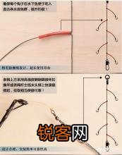 钓鱼该如何正确的搭配子线和主线？