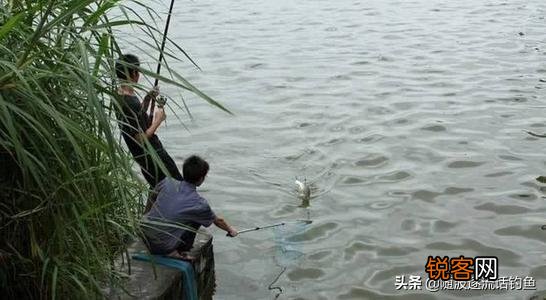 海竿怎样绑鱼线呢？
