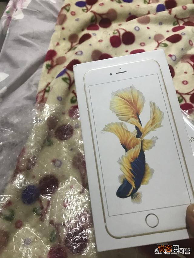 苹果6sp是不是目前苹果手机中续航最好的？