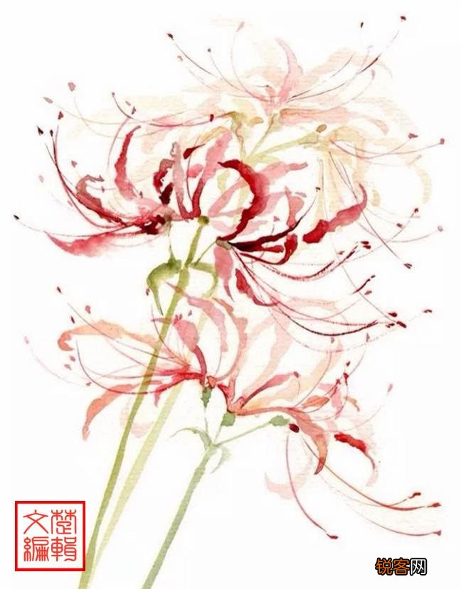 描写彼岸花的诗词 9首关于彼岸花唯美诗词