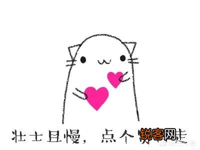 家里猫狗双全是什么体验？