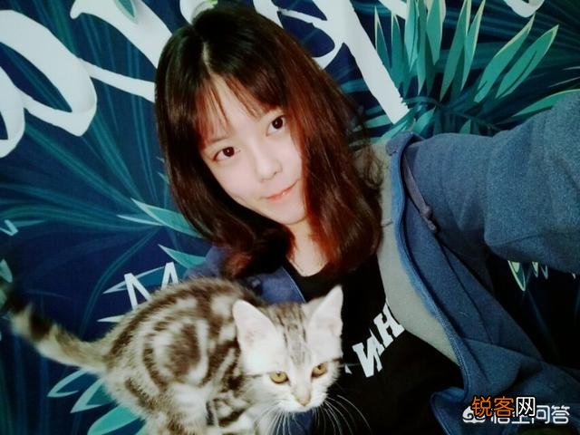 第一次养猫,哪种猫比较合适？