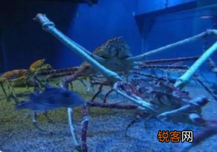 为什么越来越多的人相信有外星人？