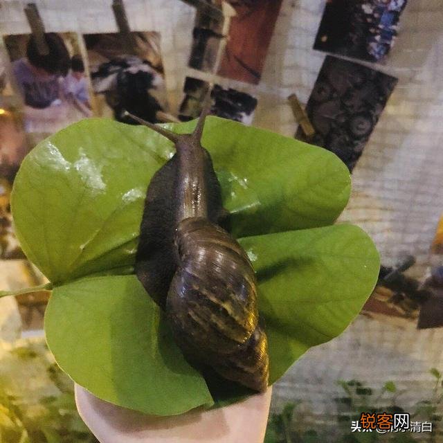 人不为己天诛地灭,到底对不对？