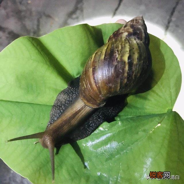 人不为己天诛地灭,到底对不对？