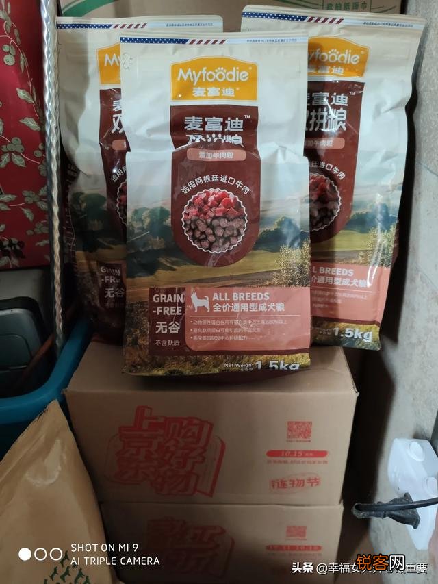 作为资深的养狗人,给后来人强烈的养狗建议有哪些？