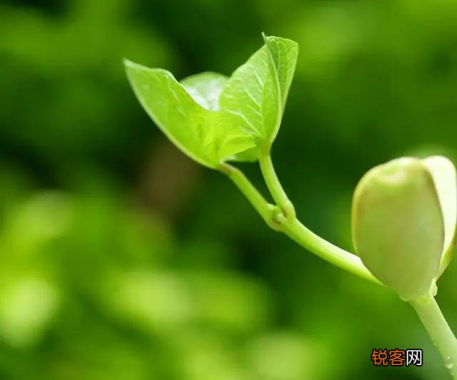 社会发展很快,但是为什么越来越多的人缺乏安全感、幸福感？