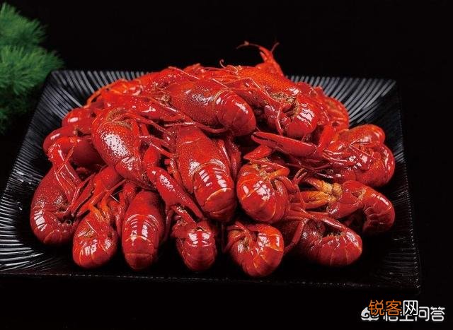 要想脸上皮肤好,每天要吃什么食物？