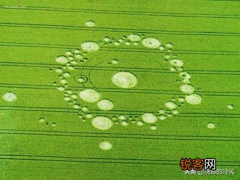 外星人究竟存不存在？