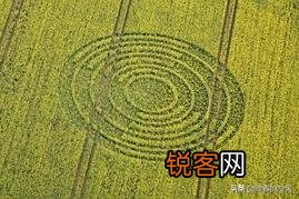 外星人究竟存不存在？
