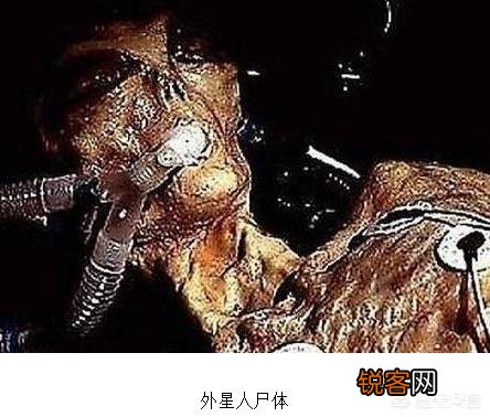 美国说他们捉住了外星人,是真的吗？
