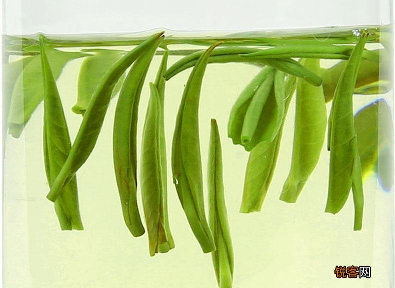 雀舌茶属于什么茶 雀舌怎么泡才好喝