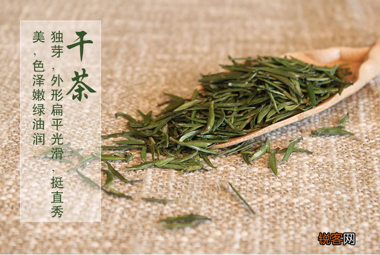 雀舌茶属于什么茶 雀舌怎么泡才好喝