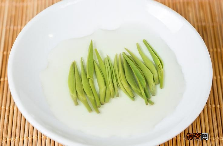 雀舌茶属于什么茶 雀舌怎么泡才好喝