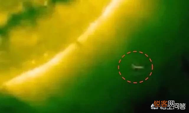 近些年,太阳附近出现过,多次不明飞行物,外星人难道隐藏太阳里,或者太阳是星际门？