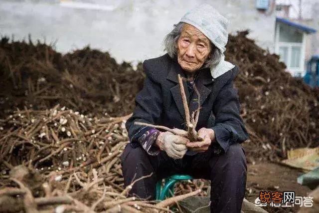 家有一老如有一宝,真是这样吗？