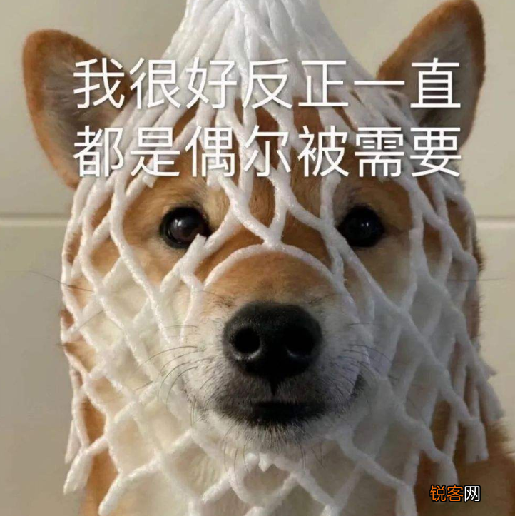 旺家的狗狗品种 据说养这几种狗，旺家又好运
