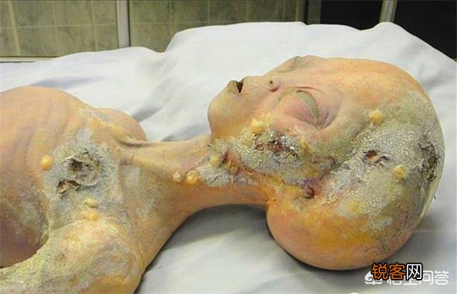 在美国真的有外星人的遗体吗？