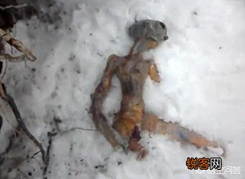 俄罗斯西伯利亚的伊尔库次克雪地发现外星人尸体,是真的吗？