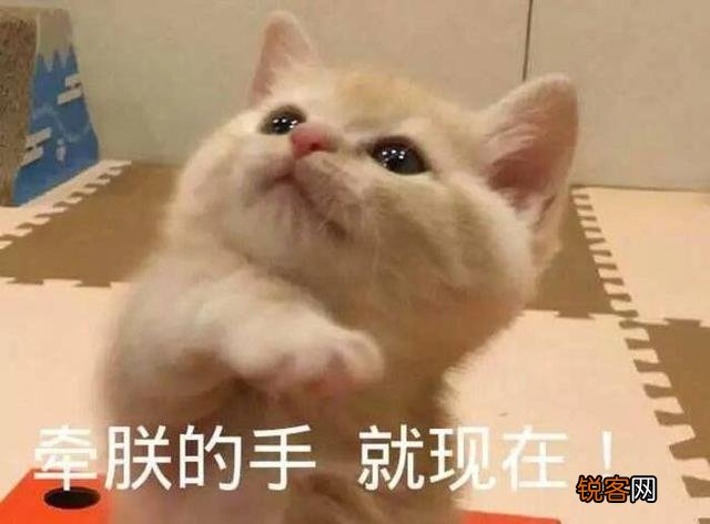 可爱的小奶猫,有什么可爱的图片？