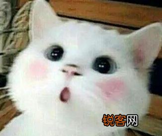 可爱的小奶猫,有什么可爱的图片？