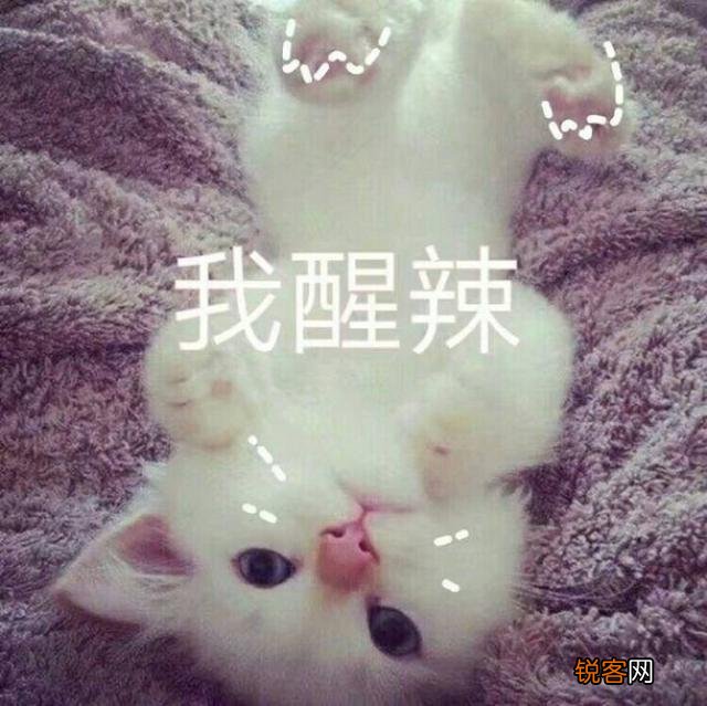 可爱的小奶猫,有什么可爱的图片？
