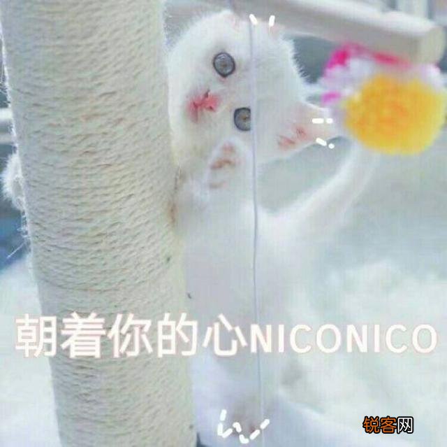 可爱的小奶猫,有什么可爱的图片？