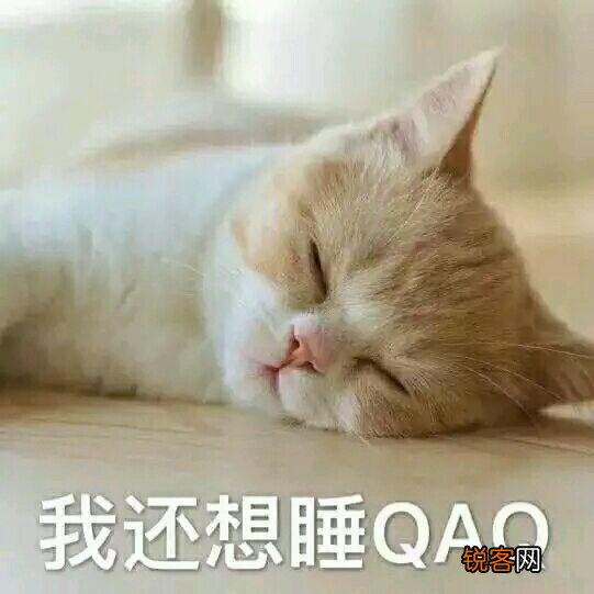 可爱的小奶猫,有什么可爱的图片？