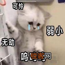 粉饼碎了怎么办 一招轻松恢复原样