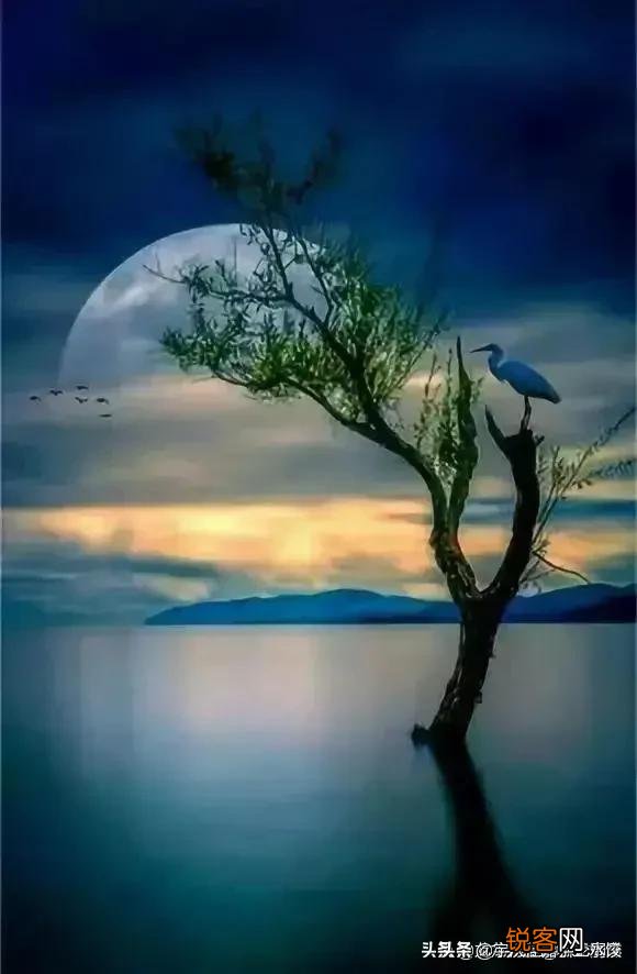 你目睹过哪些剧组事故？