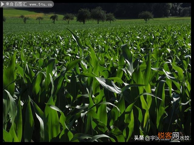 你目睹过哪些剧组事故？